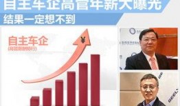 奶企高管爆料新闻最新视频,揭秘行业黑幕与真相